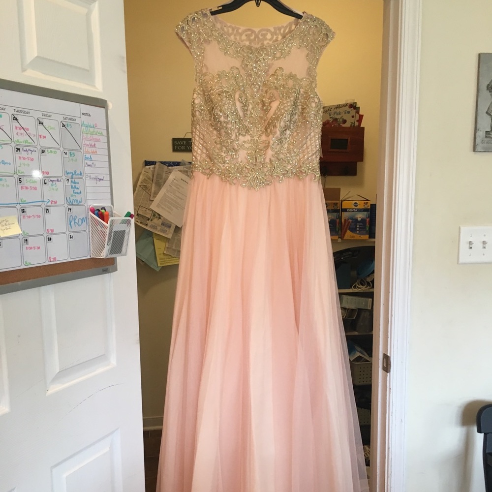 Pink Ball Gown Prom Dress - Picture 2 of 7